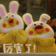 同时从本日起至