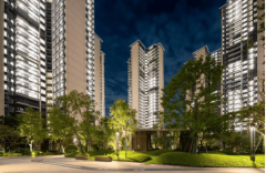 看过了天然就会有答